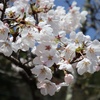 Profile Picture of mattun (@mattun55) on Tiktok