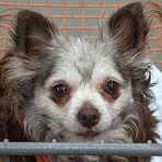 Brian Braatz - Facebook Profile Picture of Brian Braatz (@Brian-Braatz) on Facebook