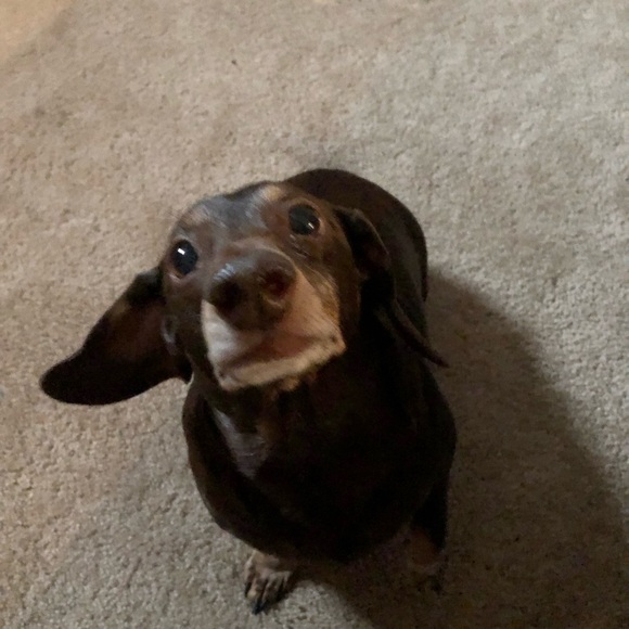 Profile Picture of Caleb Johnston (@calebj55) on Poshmark