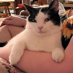 Profile Picture of Brenda Harkins (@brendagreatrex) on Instagram
