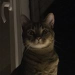 Profile Picture of Ádám Sinka (@sonkahh) on Instagram