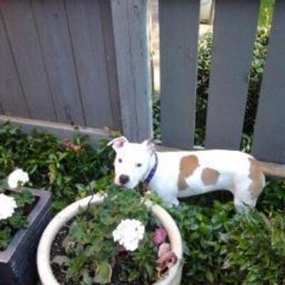 Profile Picture of After My Morning Coffee..... (@margaretharnett) on Twitter