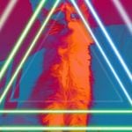 Profile Picture of Jake Wooten (@thisguyisgrey) on Instagram