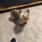 Profile Picture of Joseph Havlicek (@joseph.havlicek.7) on Facebook
