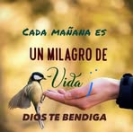 Profile Picture of Emeterio Pereira (@emeterio.pereira.1) on Facebook