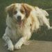 Profile Picture of Steven Muller (@stevenjmuller) on Pinterest