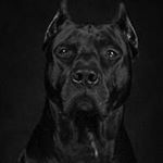 Profile Picture of Dirk Evans Clark (@dirk_818_clark) on Instagram