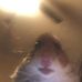 Profile Picture of Bob Farmer (@bob.farmer.581730) on Facebook