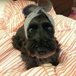 Profile Picture of ARam Kim (@ahram.kim.5496) on Instagram