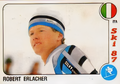 Profile Picture of Robert Erlacheron Wikipedia