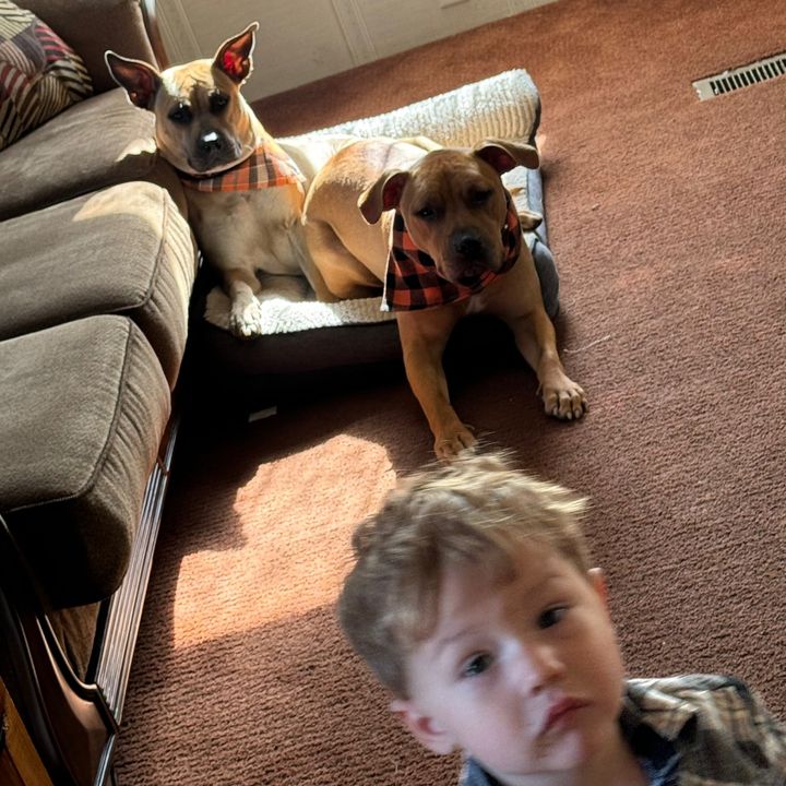 Profile Picture of jonathan.Marmet (@jonathan.marmet) on Tiktok