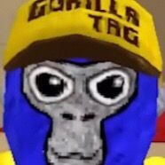 Profile Picture of 🦍 ~𝑻𝒉𝒐𝒎𝒂𝒔𝒔𝒔𝑽𝑹~🦍 (@thomasssvr) on Tiktok