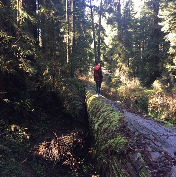 Profile Picture of Caleb Gonzales (@calebjg_) on Poshmark