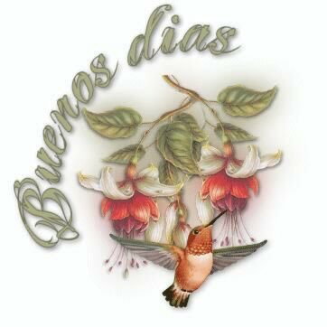 Profile Picture of Isabel Castano (@Isabelcastano10) on Twitter