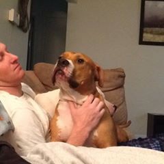 Scott Medley - Tiktok Profile Picture of Scott Medley (@scottmedley1) on Tiktok