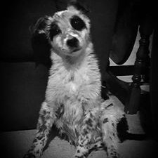 Mike Durden - Twitter Profile Picture of Mike Durden (@MikeDurden2) on Twitter