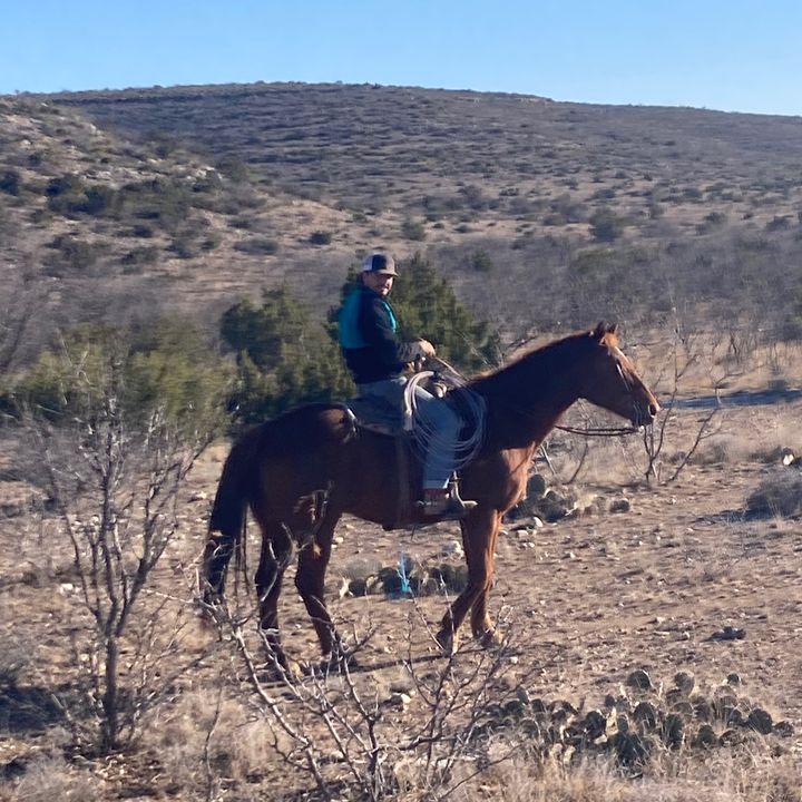 Profile Picture of patrick.dante (@patrick.dante) on Tiktok