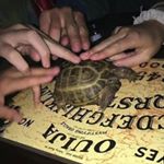 Profile Picture of Joshua Hummel (@science58_) on Instagram