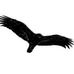 Profile Picture of Michael Crippen (@michael.crippen.9237) on Facebook