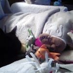 Profile Picture of Janet Hines (@pjhines911) on Instagram