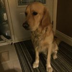 Profile Picture of Rex Sharpley (@sweetrex16) on Instagram