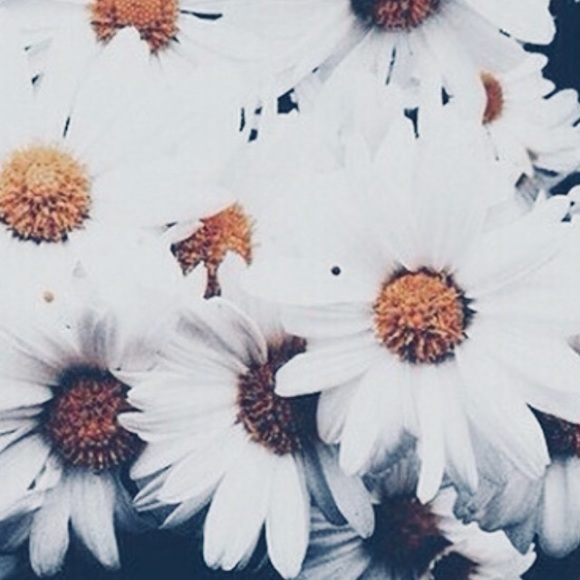 Profile Picture of Samantha Zerges (@sam_faithful) on Poshmark