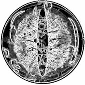 Profile Picture of David Rivers (@davidrivers9388) on Youtube