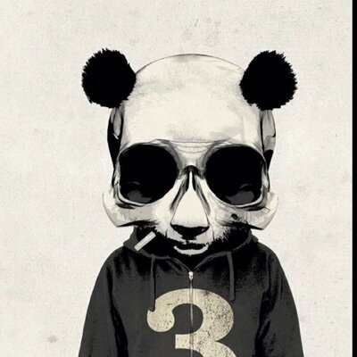 Profile Picture of Joshua Mangone (@d_mangon) on Twitter