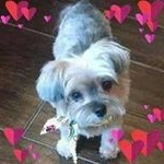 Profile Picture of Linda Howard Crabtree (@lcrab824) on Instagram