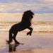 Profile Picture of Julia Carlson (@juliawhitehorse) on Pinterest