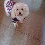Profile Picture of maria jose picart (@mariajose.picart) on Instagram