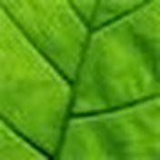 Profile Picture of Nicholas Grasso (@nicholasgrasso4412) on Youtube