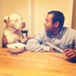 Jason Arcudi - Instagram Profile Picture of Jason Arcudi (@jason_arcudi) on Instagram