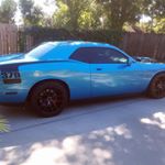 Profile Picture of David Yannone (@davebear41) on Instagram