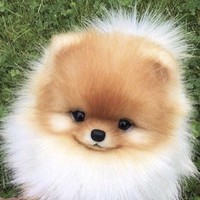 Profile Picture of Taylor Jameson (@taylor-jameson-12) on Quora