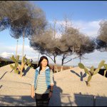 Profile Picture of Cindy Chew (@chewski) on Instagram