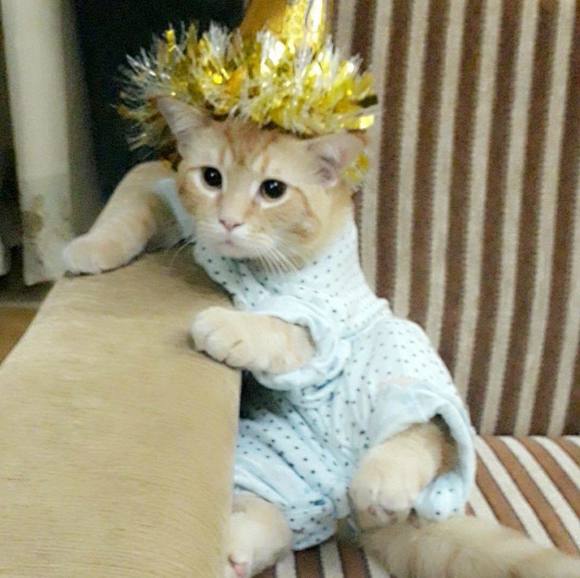 Profile Picture of Kazmi Kazmi (@fatimanuzhat947) on Poshmark