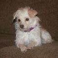 Profile Picture of Susanne Burkett (@sburk0324) on Pinterest