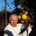 Profile Picture of Jim Neale (@jimfarm66) on Instagram