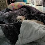 Profile Picture of Susan Piland Benoit (@suebenoit62) on Instagram