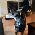 Profile Picture of Devon CallingProgram (@Devon-CallingProgram) on Facebook