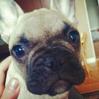 Profile Picture of Alex Quast (@alex-quast-1) on Quora