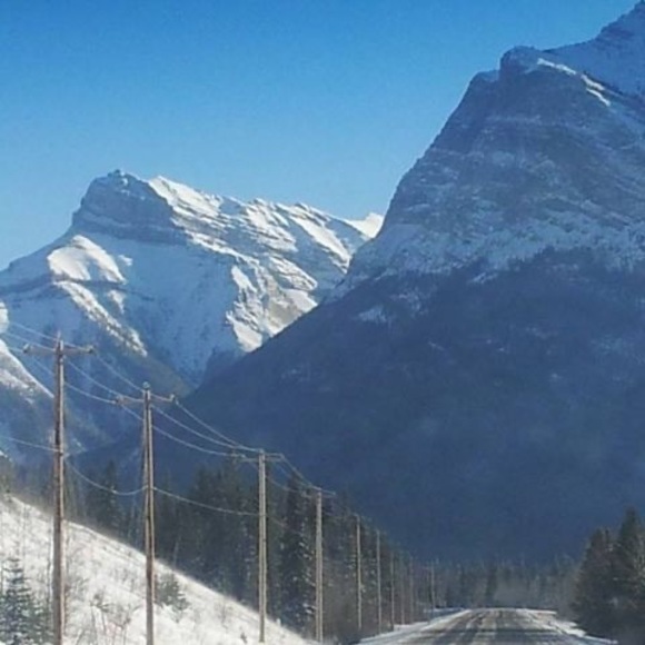 Profile Picture of David Webster (@davewebster52) on Poshmark