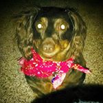 Profile Picture of Mitzi Lunsford-Hale (@mitzilunsfordh) on Instagram