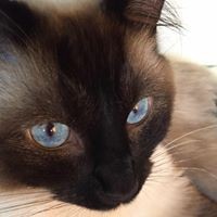 Profile Picture of Jo Bell (@jo-bell-9) on Quora