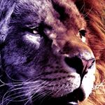 Profile Picture of Alex Markarian (@alex_v274) on Instagram