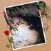 Profile Picture of Benjamin Ramirez (@benjamin.ramirez.94009841) on Facebook