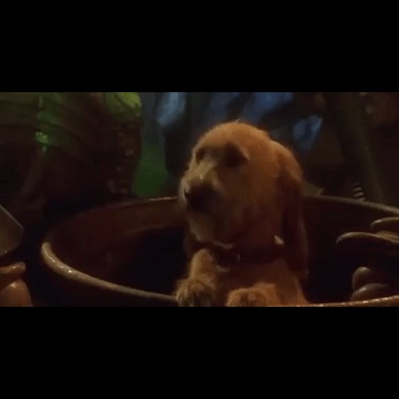 Profile Picture of Carl Proctor (@cproctor591) on Poshmark