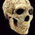 Profile Picture of Jim Logan (@hominid) on Flickr