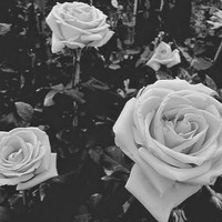 Profile Picture of Lucy Velasquez (@lucy-velasquez-1) on Quora